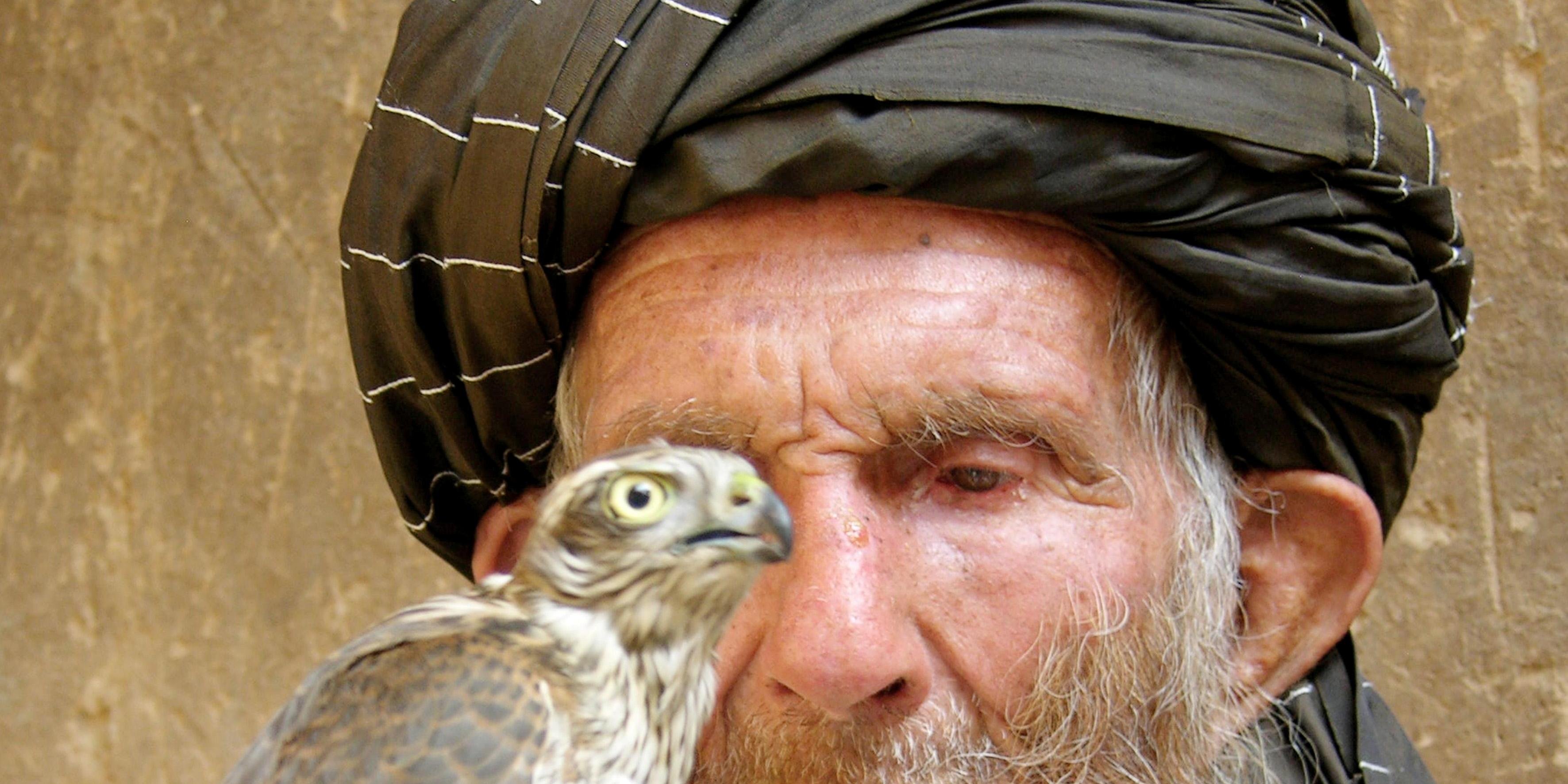 بدون شرح