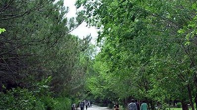حادثه دانشگاه کابل زنگ خطر برای شیعیان افغانستان