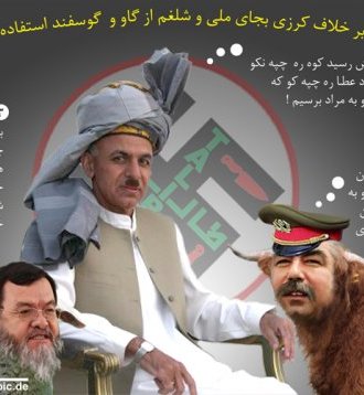 گــاو و گــوســفند بجــای ملی و شــلغم