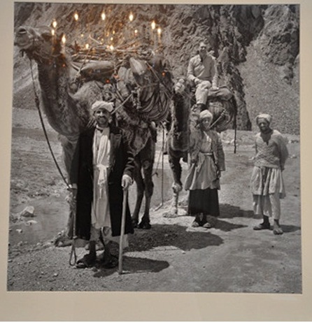 عکس ها سخن میگویند!