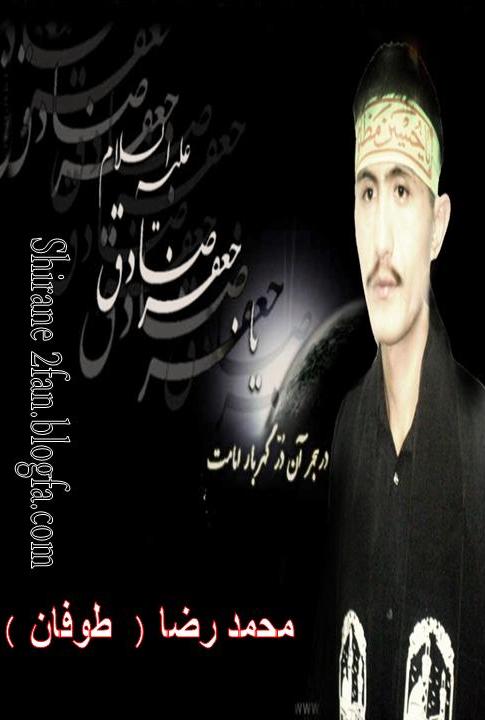 يا كفن يا وطن